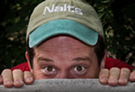 nalts 2